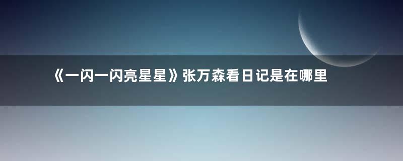 《一闪一闪亮星星》张万森看日记是在哪里 张万森最后有没有活下来